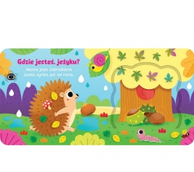 Otwórz okienko! Gdzie jesteś, jeżyku? - Anna Podgórska