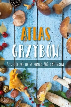 Atlas grzybów - Markus Flück