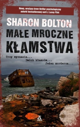 Małe mroczne kłamstwa - Sharon Bolton