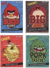 Wkłady do segregatora A6 Angry Birds 10 sztuk mix