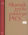 Słownik języka polskiego PWN Tom 1-2 Pakiet Drabik Lidia, Sobol Elżbieta