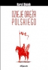 DZIEJE ORĘŻA POLSKIEGO OLEJNIK K.