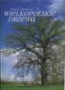 Wielkopolskie drzewa Borkowski Krzysztof