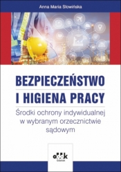 Bezpieczeństwo i higiena pracy.