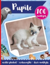 100 naklejek. Pupile - Opracowanie zbiorowe