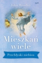 Mieszkań wiele - John Woolley