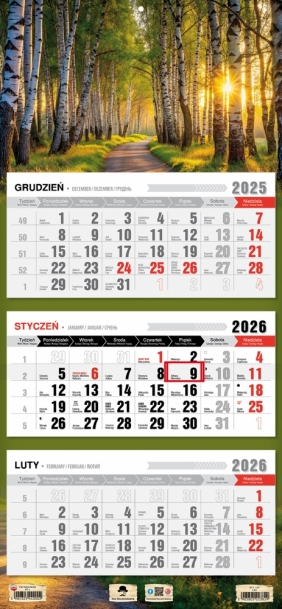 Kalendarz trójdzielny z płaską główką 2026, 1 szt.