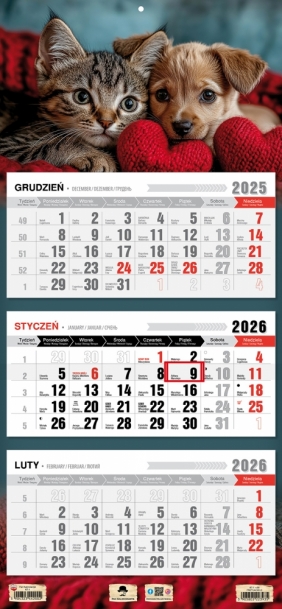 Kalendarz trójdzielny z płaską główką 2026, 1 szt.