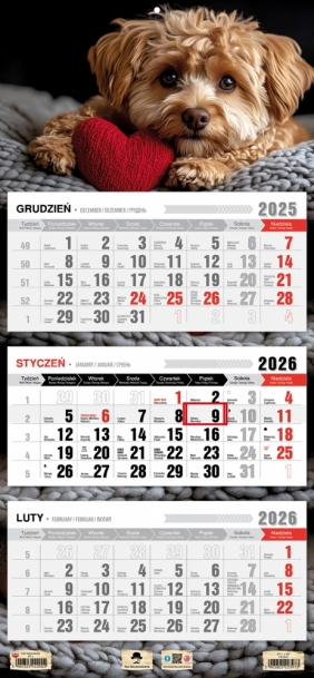 Kalendarz trójdzielny z płaską główką 2026, 1 szt.