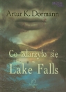 Co zdarzyło się w Lake Falls Dormann Artur K.