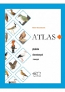 Atlas ptaków chronionych i łownych