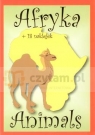 Animals Afryka + 18 naklejek