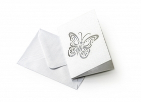 Zestaw koperta + karnet motyl (280992)