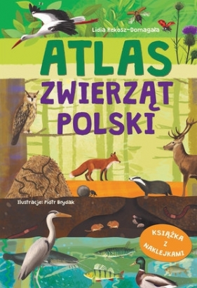 Atlas zwierząt Polski - Lidia Rekosz-Domagała, Piotr Brydak (ilustr.)