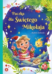 Paczka dla Świętego Mikołaja - Radek Żydonik