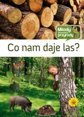 Co nam daje las - Gil Wojciech