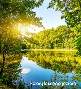 Zakładki indeksujące Grand proste - Forest lake, 10 kol.