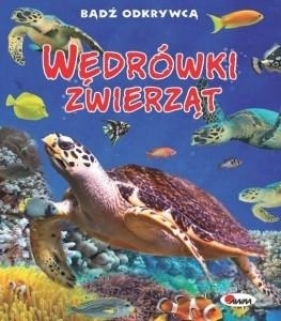 Wędrówki zwierząt Bądź odkrywcą - Robert Dzwonkowski