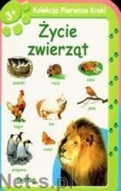 Życie zwierząt - <br />