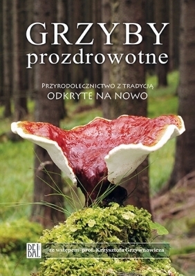 Grzyby prozdrowotne. Przyrodolecznictwo z tradycją odkryte na nowo