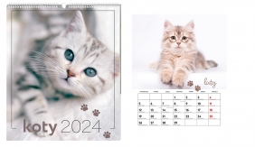 Kalendarz 2024 ścienny 30.5 x 40 cm - Koty