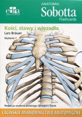 Anatomia Sobotta Flashcards Kości stawy i więzadła - Lars Bräuer