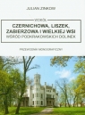 Wokół Czernichowa, Liszek, Zabierzowa i Wielkiej Wsi wśród podkrakowskich Zinkow Julian