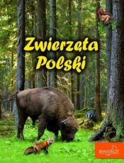 Zwierzęta Polski - Zarych Elżbieta