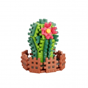 Mini Waffle Garden - Kaktus