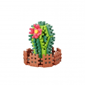 Mini Waffle Garden - Kaktus