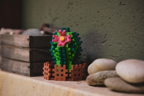 Mini Waffle Garden - Kaktus