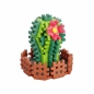 Mini Waffle Garden - Kaktus
