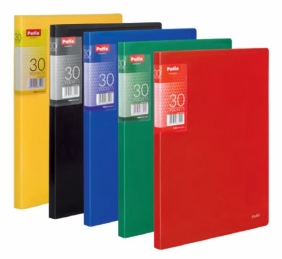 Teczka Clear Book A4, 30 koszulek zielona