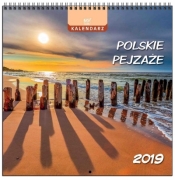 Kalendarz 2019 13 Planszowy Polskie Pejzaże