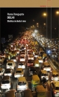 Delhi. - Rana Dasgupta