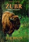 Żubr Król puszczy / The Bison The king of the forestWersja , Andrzej Stachurski