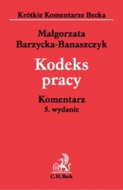 Kodeks Pracy Komentarz