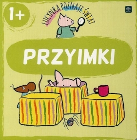 Lucynka poznaje świat. Przyimki - Agata Matraś