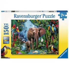 Puzzle XXL 150: Słonie w dżungli (12901)