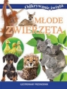 Odkrywanie świata. Młode zwierzęta (OT)