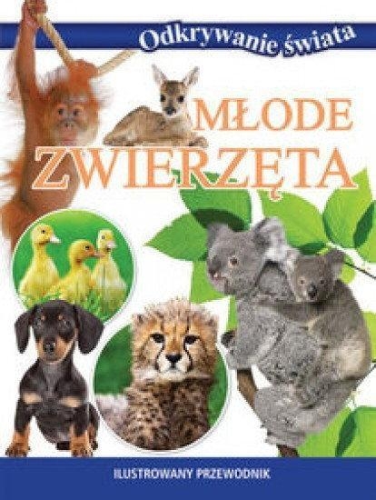 Odkrywanie świata. Młode zwierzęta (OT)
