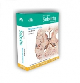 Anatomia Sobotta Flashcards Neuroanatomia - Lars Bräuer