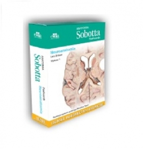 Anatomia Sobotta Flashcards Neuroanatomia - Bräuer L.