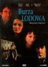 Burza lodowa