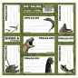 Nalepki na zeszyty BackUp Dinozaur (DRF-49011)