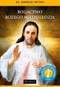 Bogactwo Bożego Miłosierdzia - Andrzej Witko