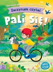 Zaczynam czytać. Duże litery. Pierwsze zdania do nauki czytania. Pali się!