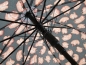 Parasol Adar automatycznie rozkładany, pióra (513013)