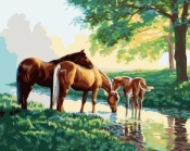 Malowanie po numerach - Dzikie konie 40x50cm