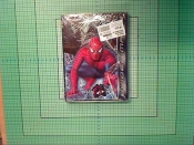 WKLAD DO SEGR.A5 SPIDER MAN